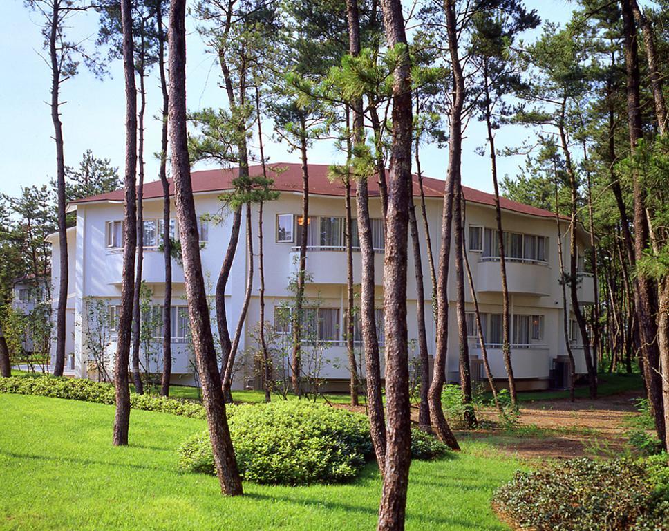 Luxze Hitotsuba/Cottage Himuka Mijazaki Szoba fotó