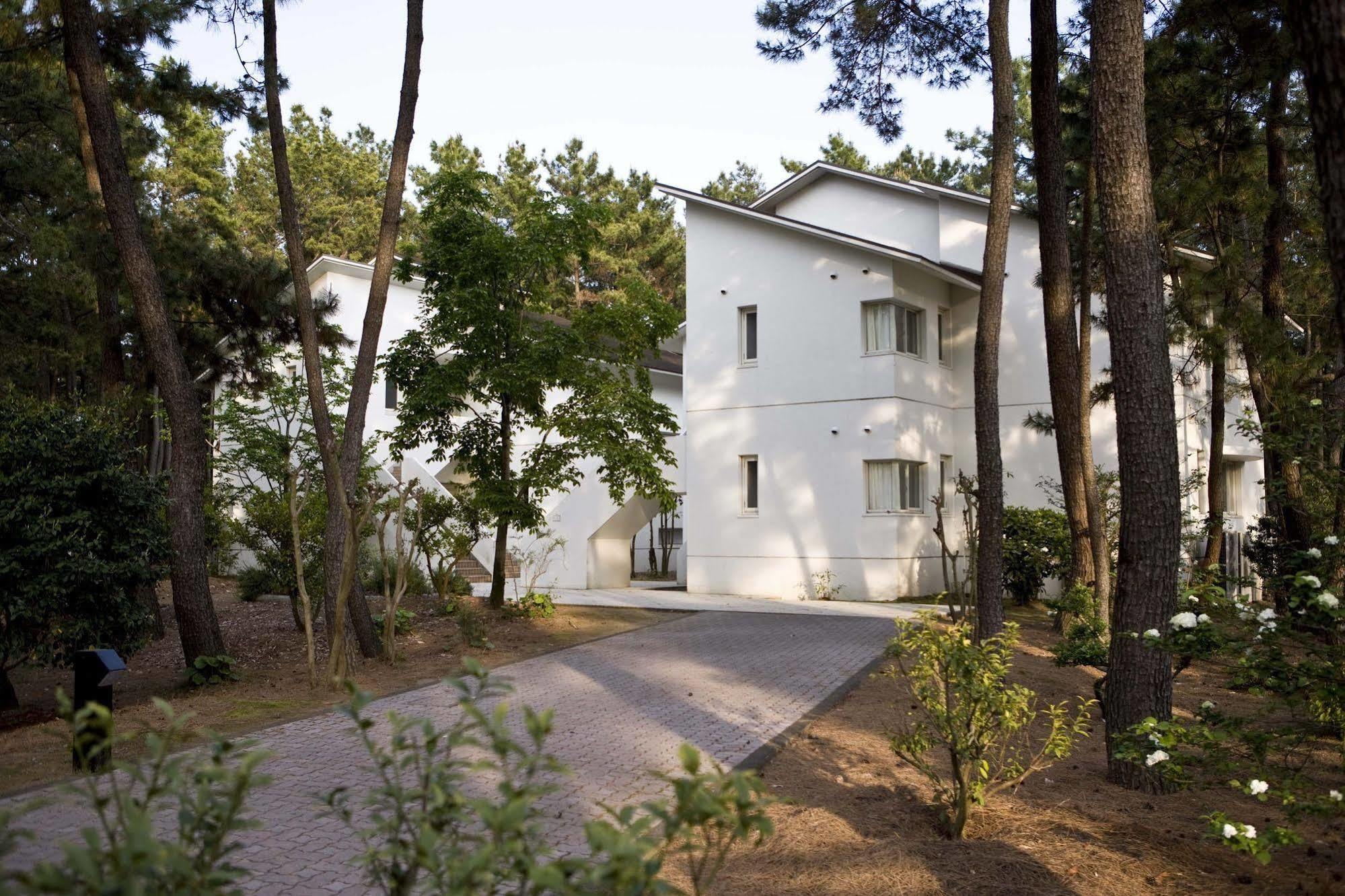 Luxze Hitotsuba/Cottage Himuka Mijazaki Kültér fotó